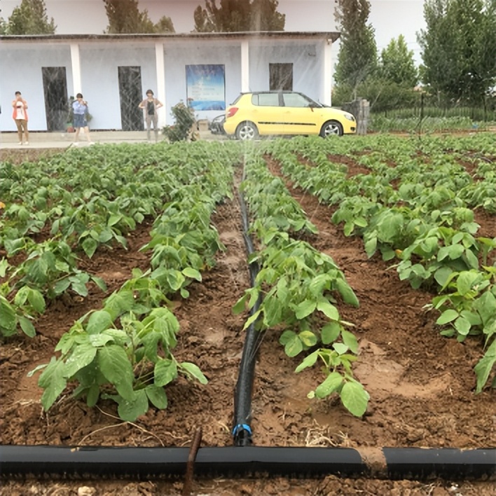 微咸水开发利用情况汇报,反渗透水处理数据分析