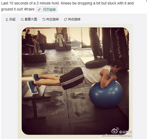 平板支撑一招搞定,各种明星平板支撑视频