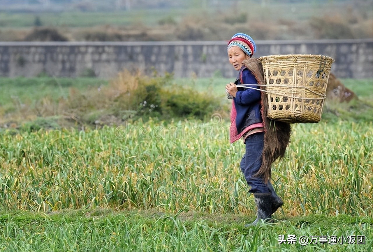 农民种地不挣钱谁能光靠种地养活,农民种地赚钱一亩地赚两万