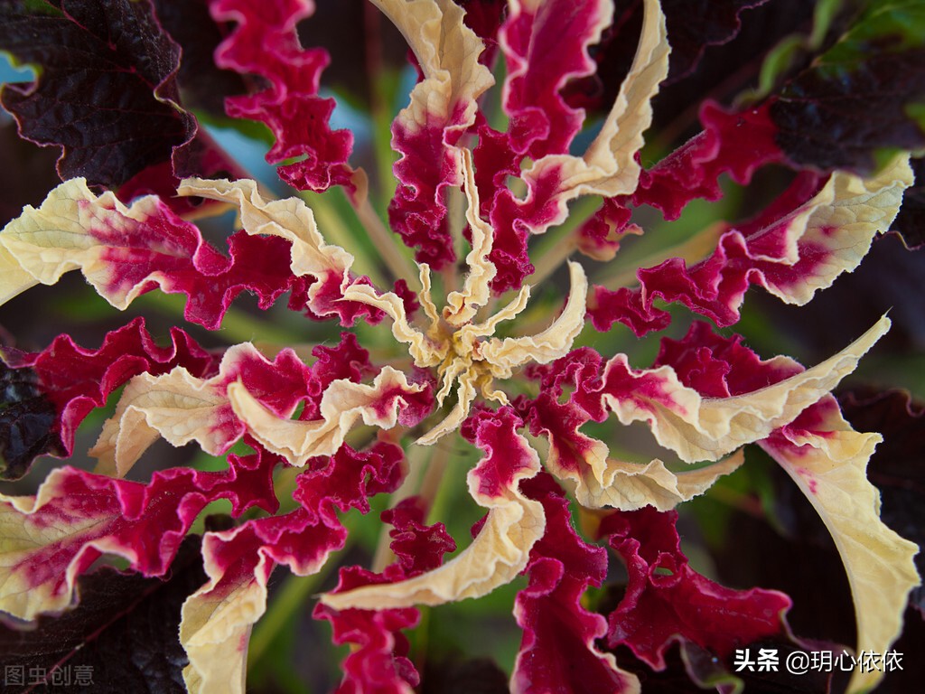 这些星座把自己活成财神爷，内心强大能力出众，心如真金光耀众生