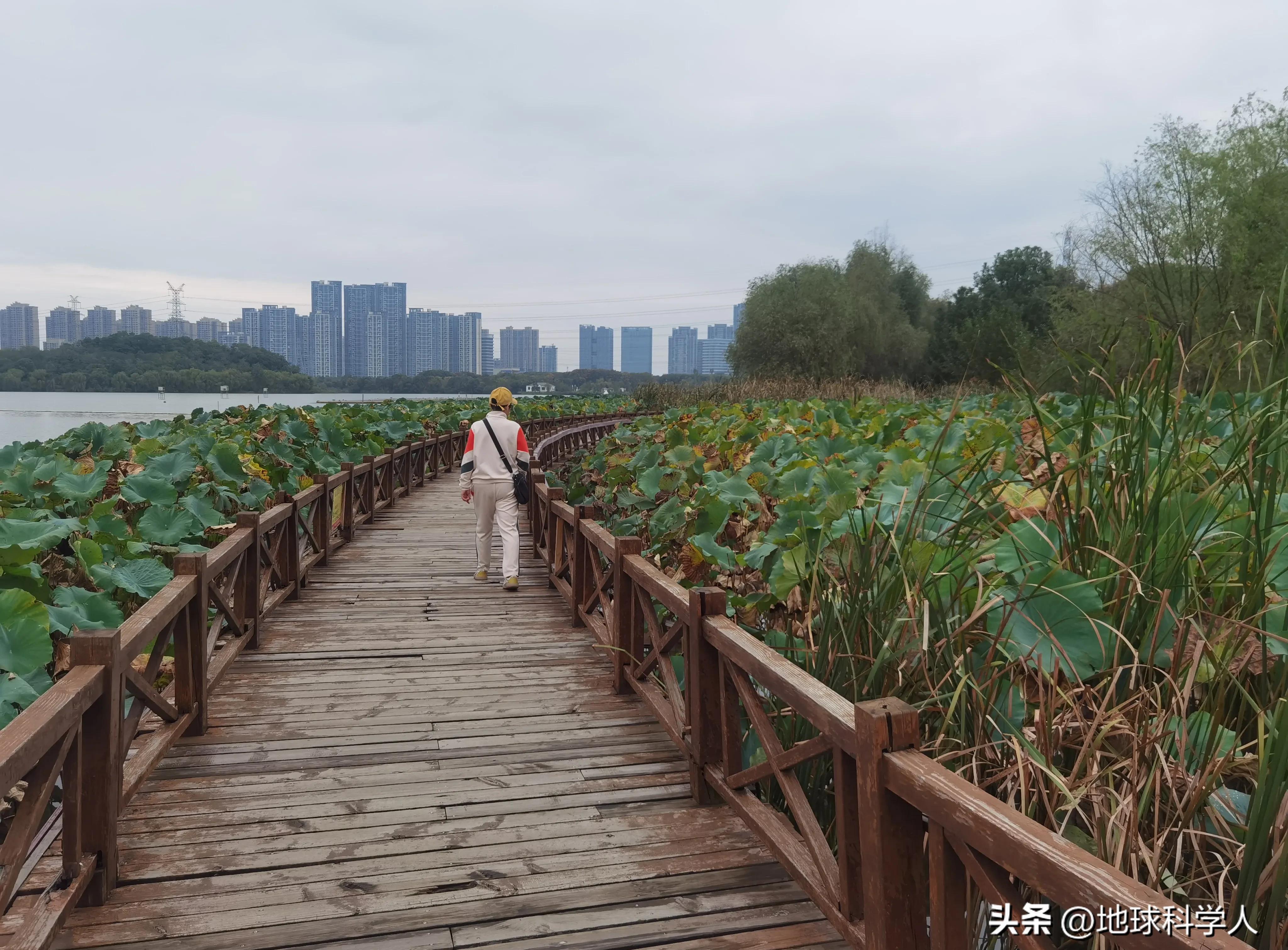 湖光山色美景欣赏,后官湖国家湿地公园游记