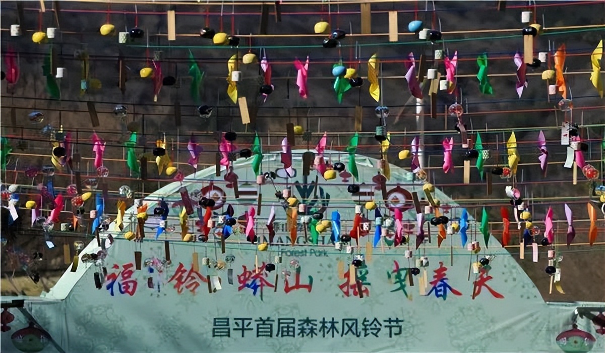 媒体“网事”｜观里讯息一“网”俱全，邻里似亲“站”内相见