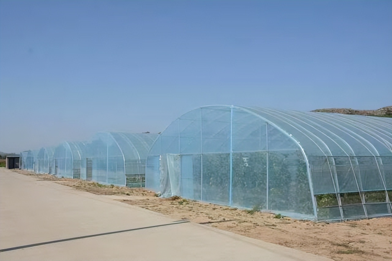 榆林市乡村振兴标杆,榆阳区乡村振兴体验馆