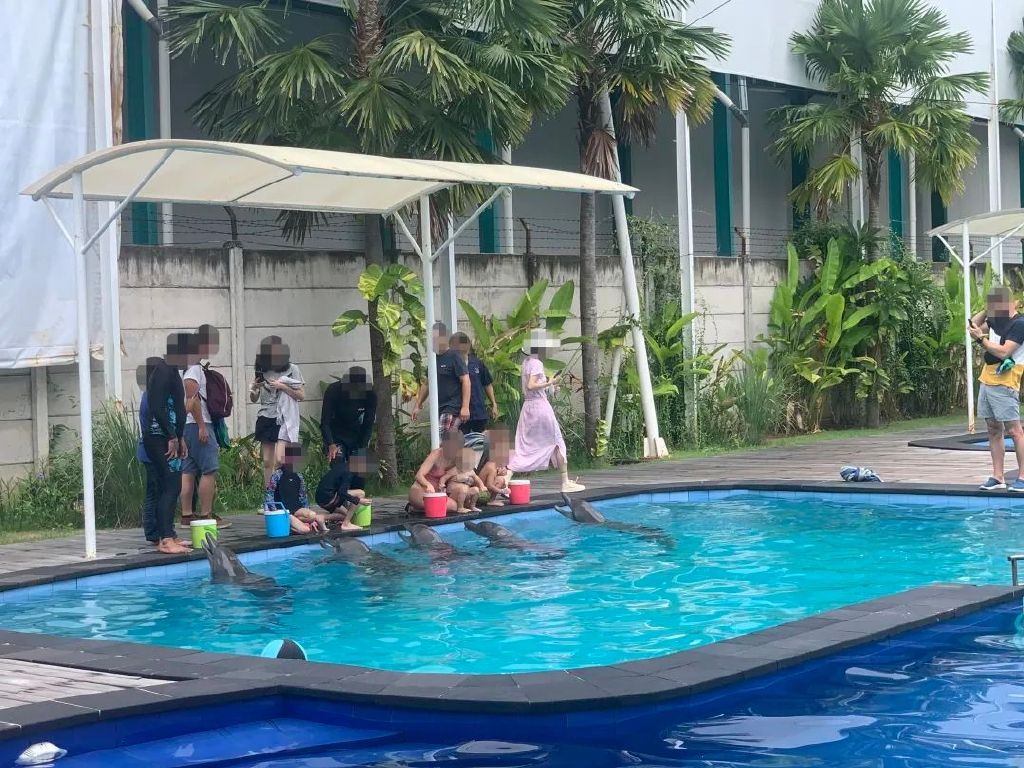 巴厘岛旅游必去100个地方,旅游目的地巴厘岛