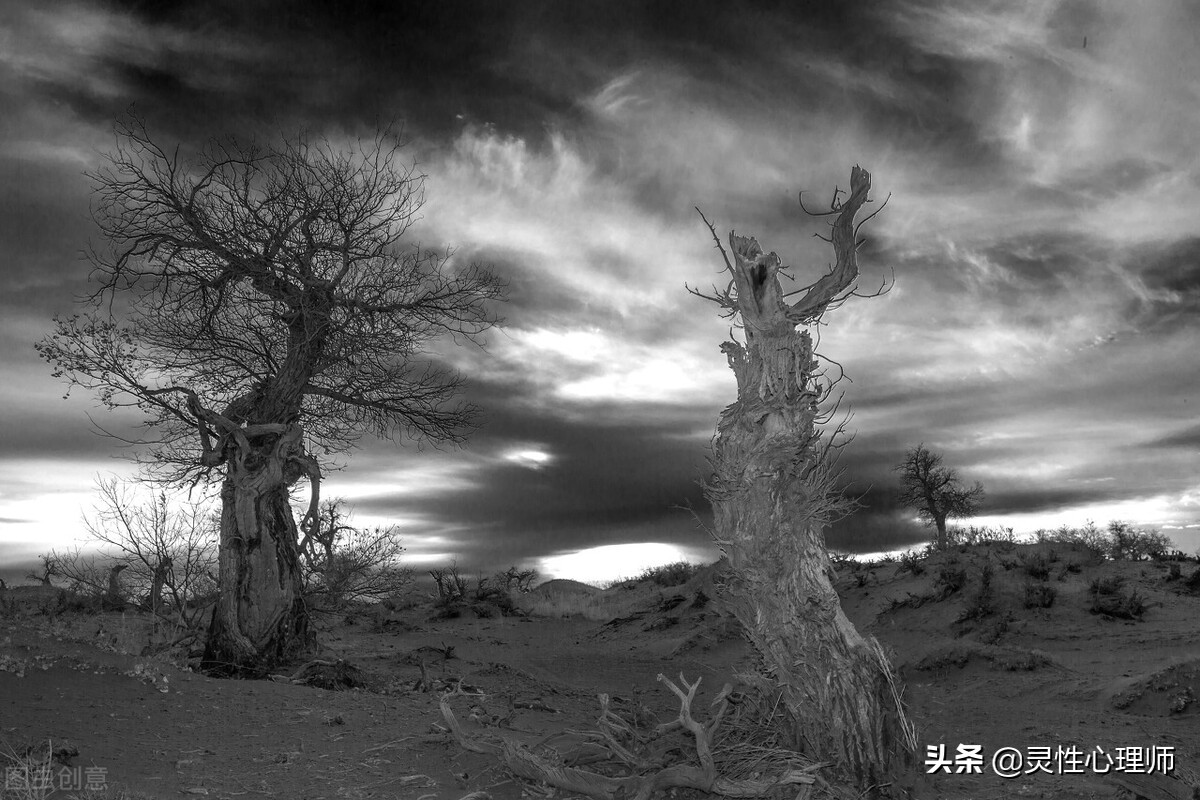 亲人去世该做的事,如果亲人去世了需要做什么