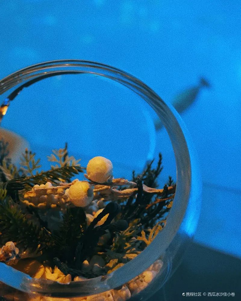 造价500万美元的海底餐厅！开一瓶5.2万美元的水晶香槟