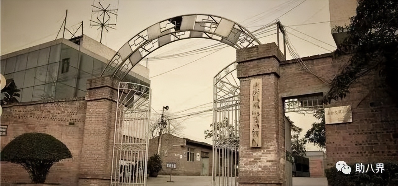 重庆小康的崛起,重庆小康最新规划