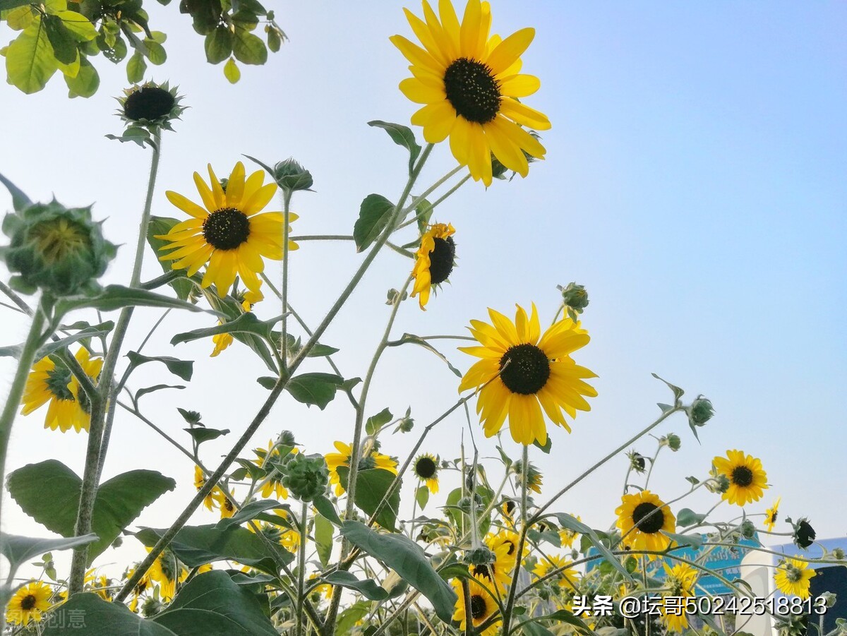 心中有善必有福,心中有善就会有福