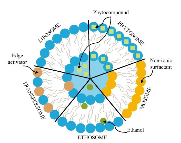 以优雅的姿态面对压力,优雅大方岁月静好一切从容
