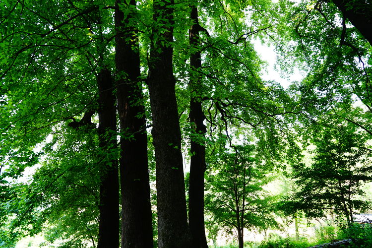 浙西天路华浪线,浙西天路的视频