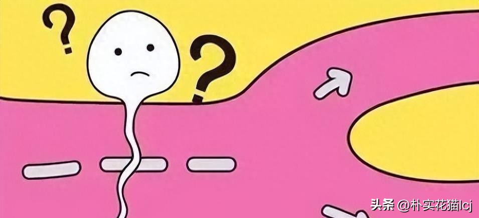 精子受孕未成功后去哪了,没有成功受孕的精子都去哪里了