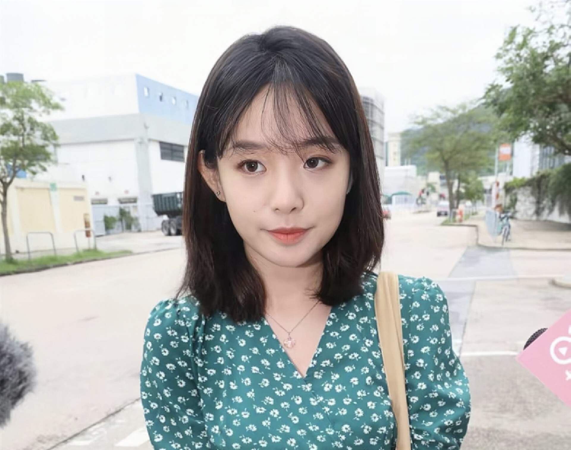 港姐六名热门选手退赛,港姐参赛佳丽集体退赛风波