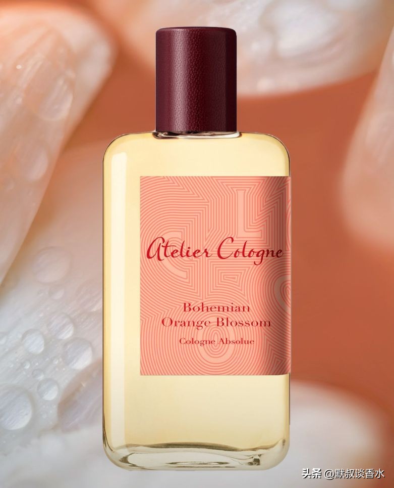 欧珑波西米亚花橙,欧珑波西米亚橙花持久吗