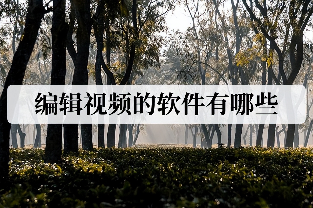 编辑视频的软件,编辑视频最好的软件是什么