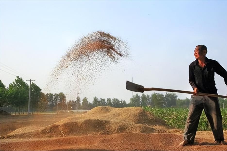 小麦收割跨区作业证,严查跨区作业证导致收割机被扣