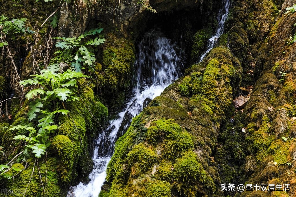 家里自来水太咸怎么办,自来水烧开口感很涩