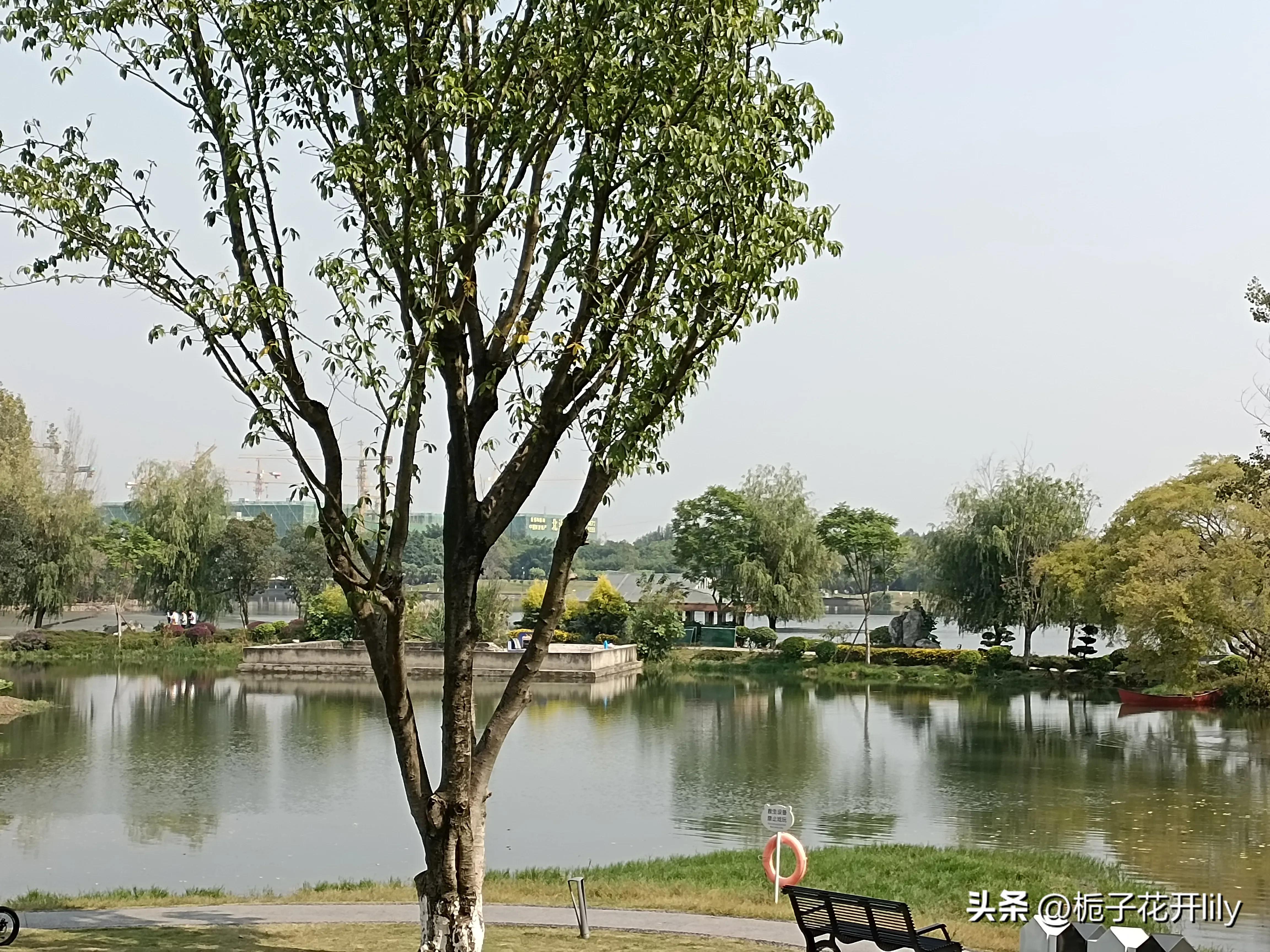 这周末可以在成都哪些地方玩,周末成都有哪些值得去的地方