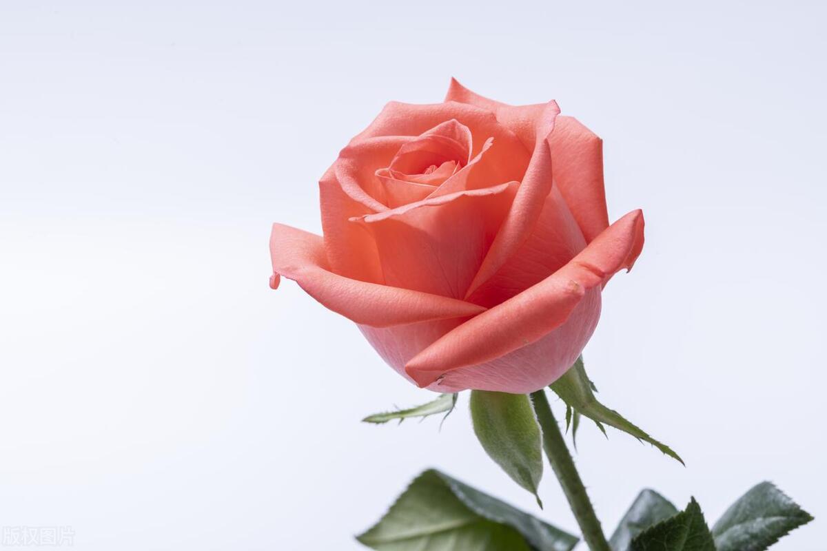 我的童年回忆的故事,我童年的回忆小故事