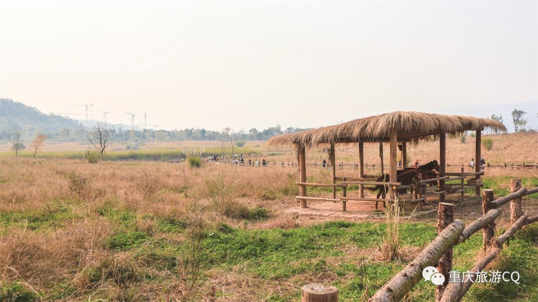 重庆人眼里的重庆好景区,重庆人眼里的江南