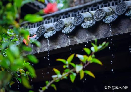 杨万里的一首《风雨》，语言凝练，洋溢着浓浓的生活气息