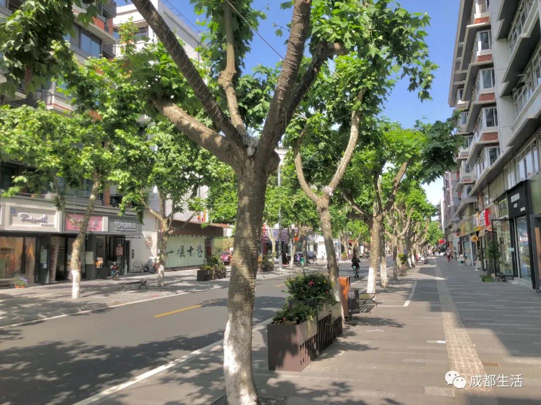 12条时髦老街，长满晒太阳的成都人