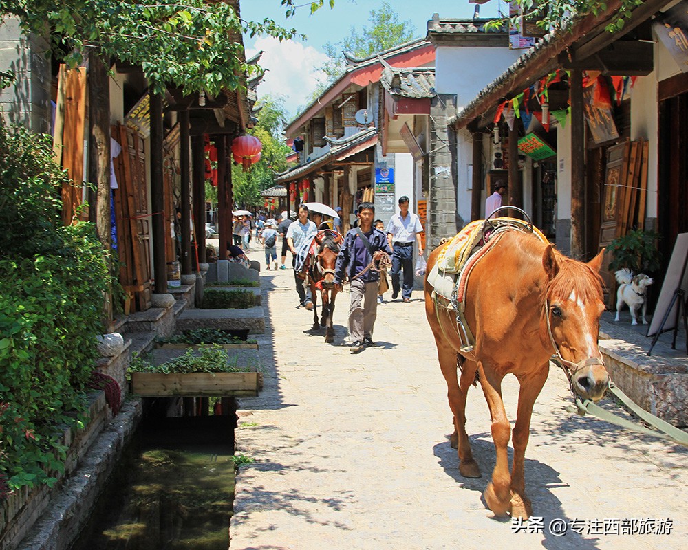 成都泸沽湖邛海旅游攻略,四川泸沽湖万亩草海秋景