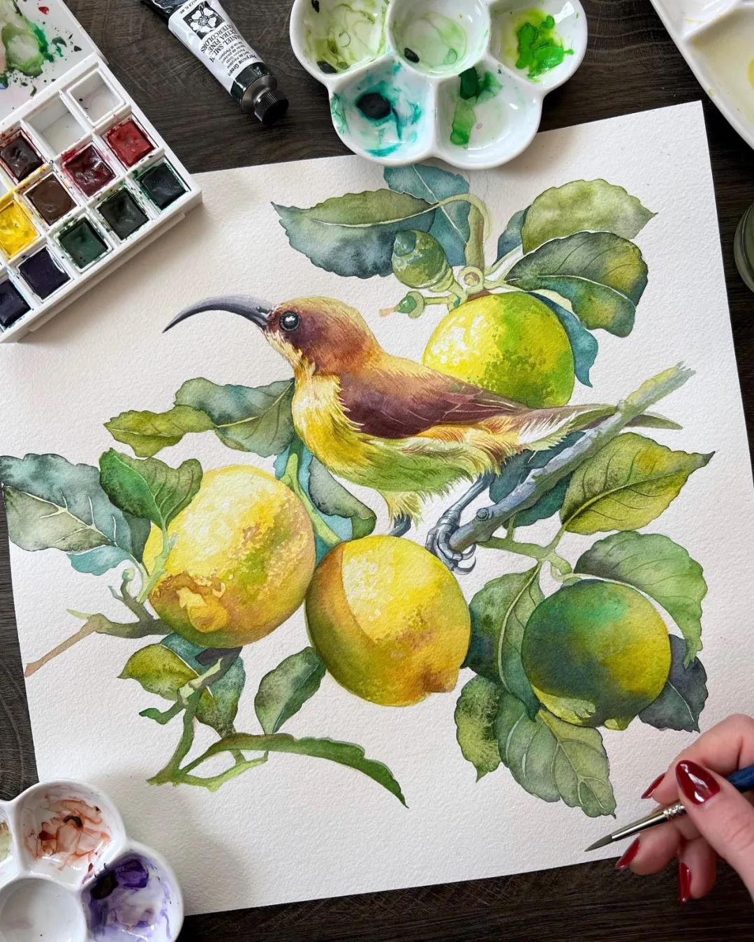 用色大胆的水彩作品,大神级水彩作品看完肯定不后悔