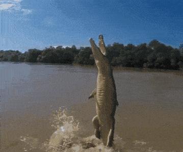 论一个人情商,论一个人能有多悲伤