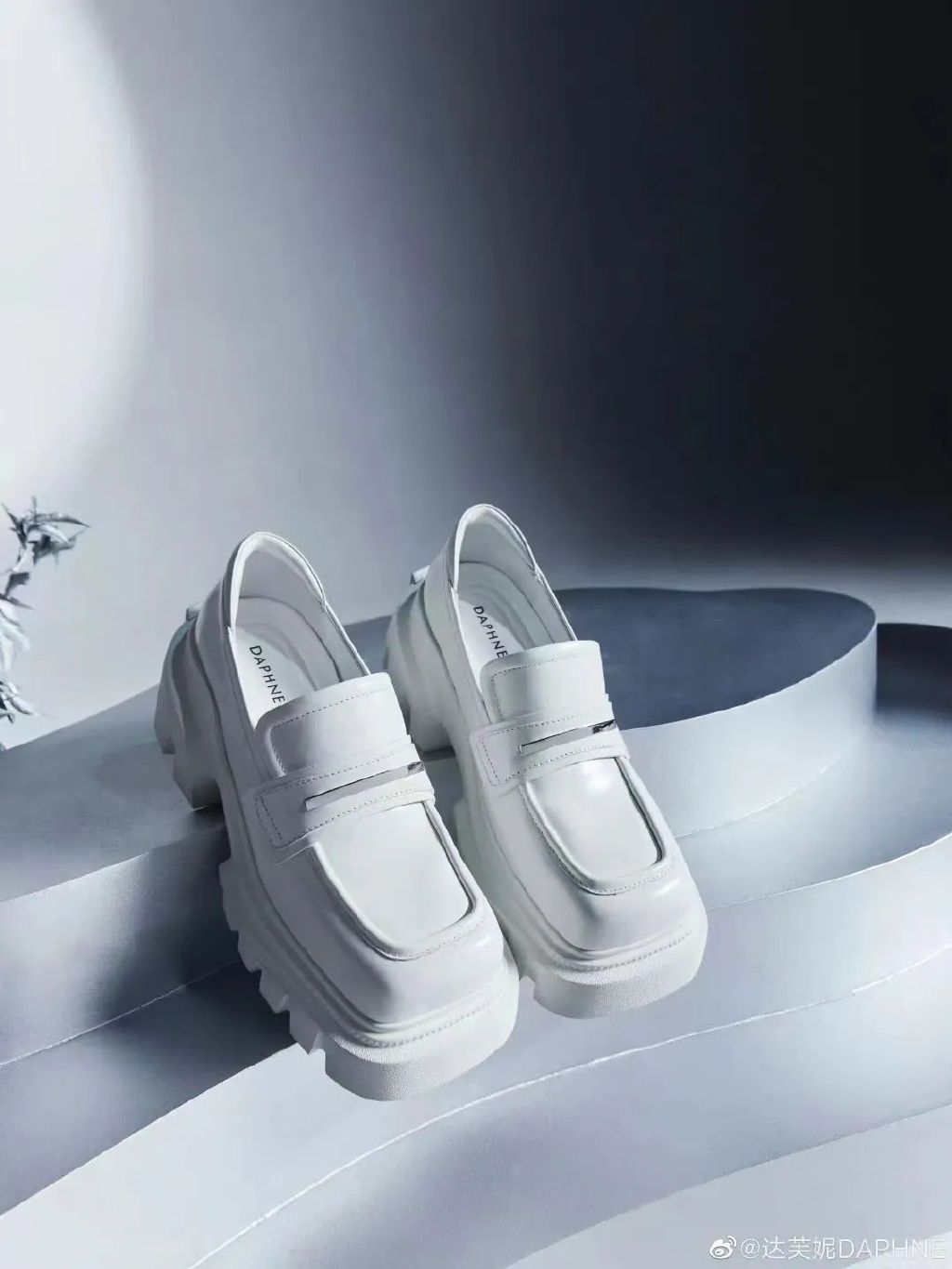 谁还记得曾经的美,你还记得巴中达芙妮吗