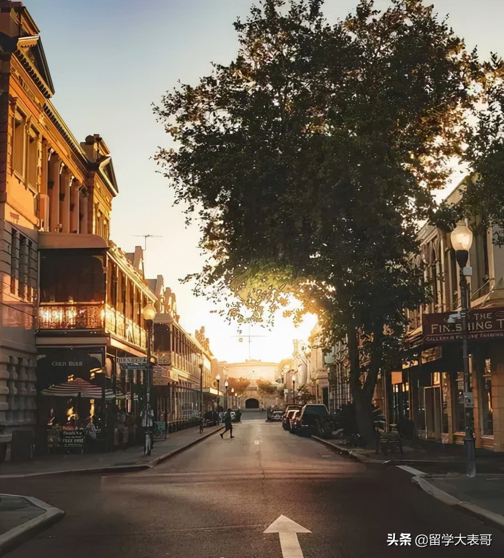 From：英国「雨果学姐」的圣诞特刊