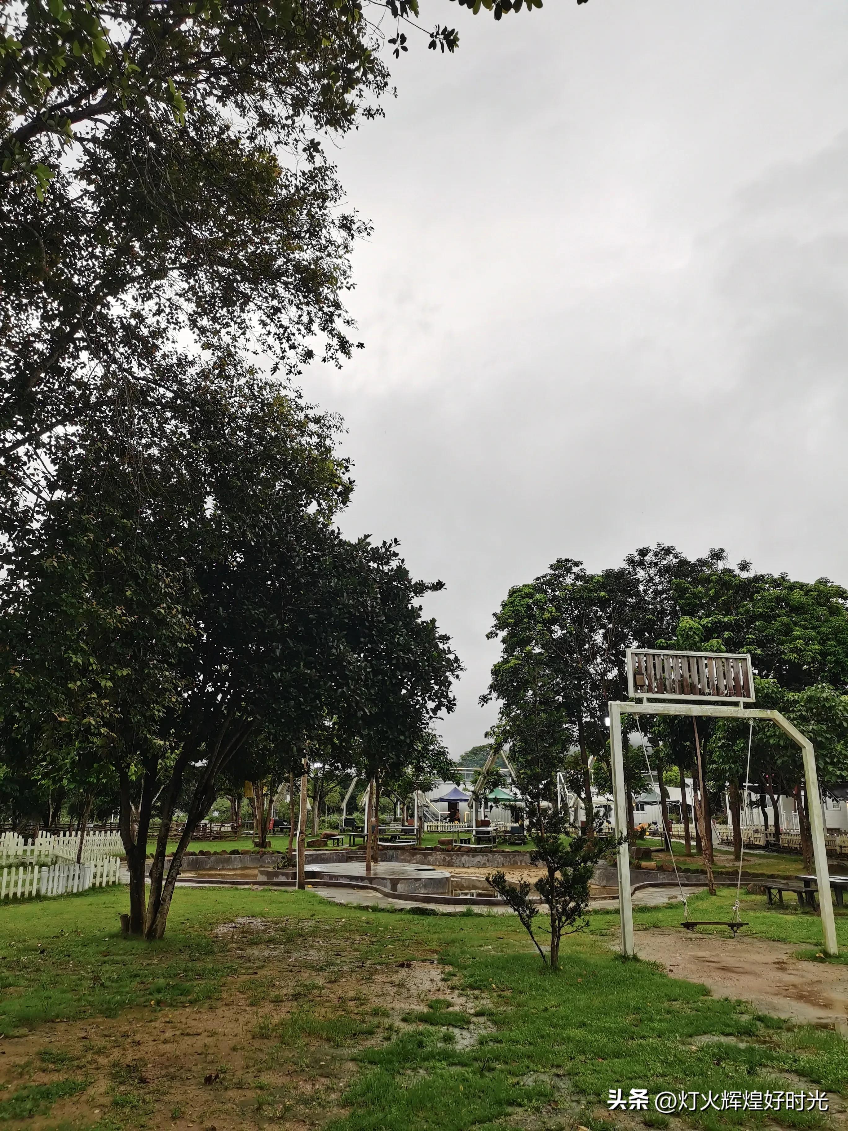 夏日掠影,雨天花开,人见人爱