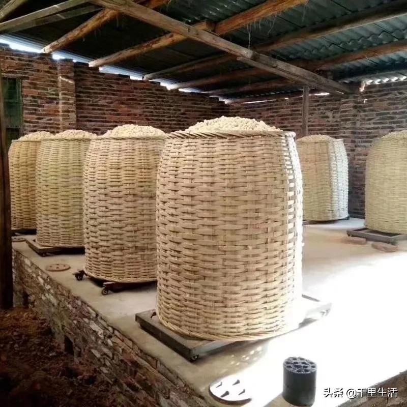 龙岩湿烤花生，龙岩人订婚时的必备“信物”，让人吃得不肯罢手