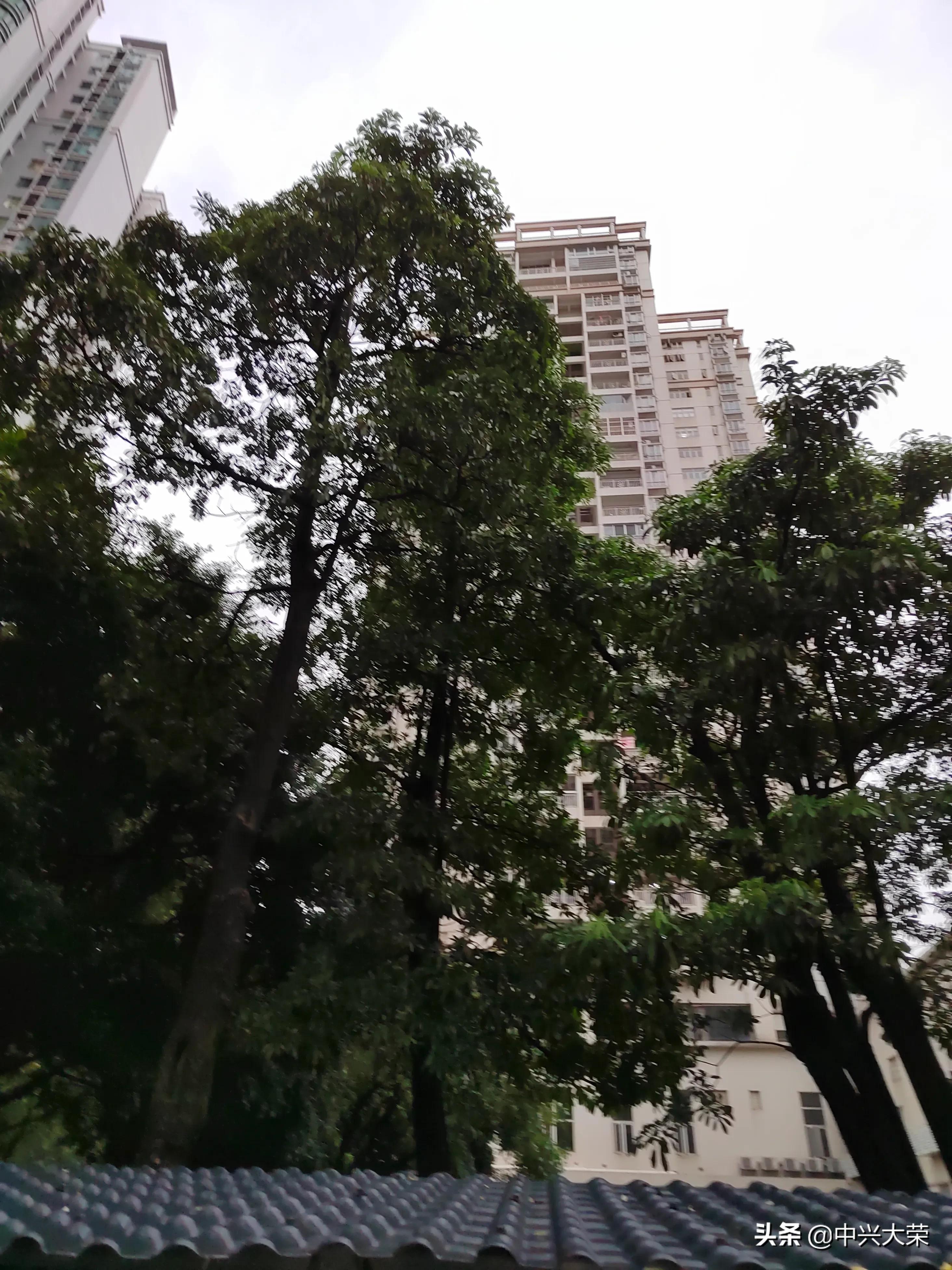 想踢一场足球比赛,渴望一场