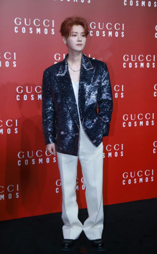 鹿晗33岁了吗,鹿晗在娱乐圈到底有多火