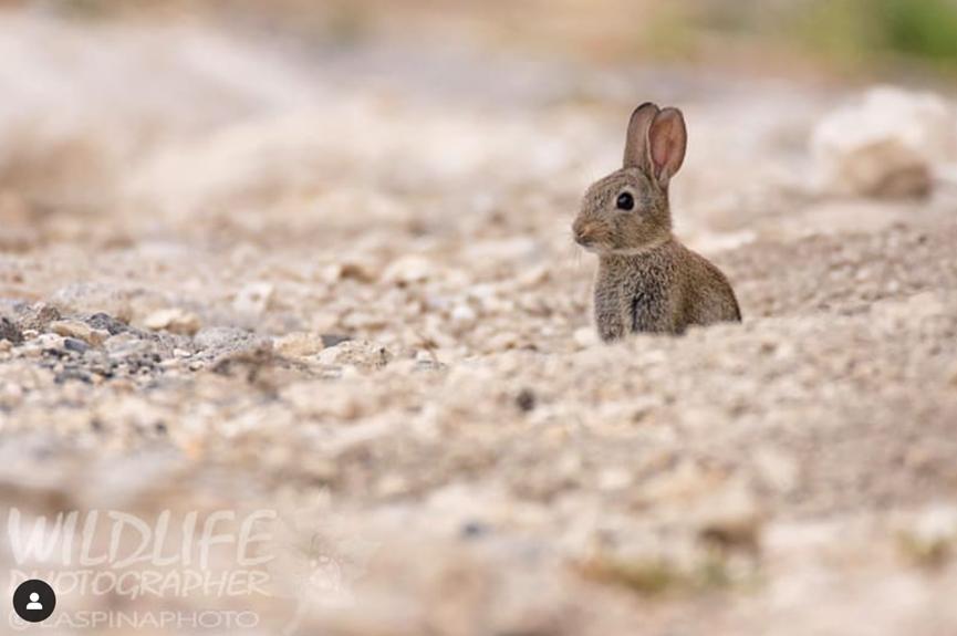 望远镜野外新手推荐,找风的望远镜怎么选