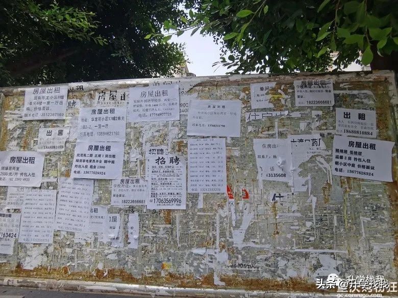 陪读房三室两厅一卫租金1300,潍坊一中附近陪读租房租金多少