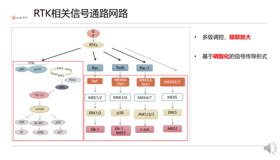 信号通路差异分析,常见的信号通路