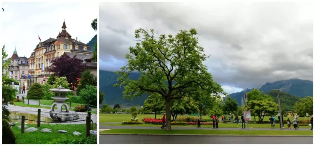 瑞士意大利德国奥地利自驾路线,奥地利瑞士自驾旅行2016年