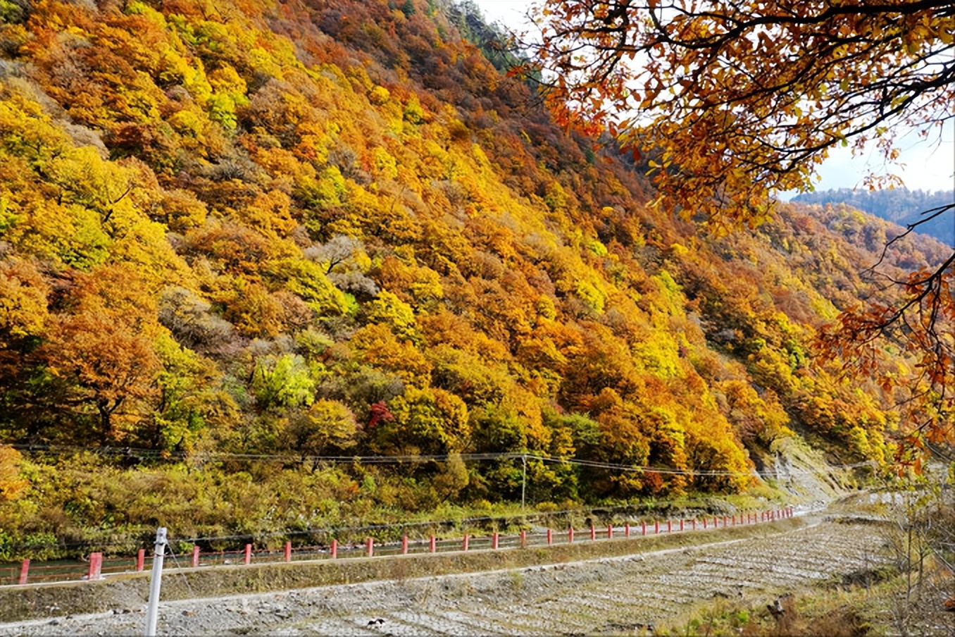 卡龙沟景区有什么好玩的,卡龙沟穿越松潘