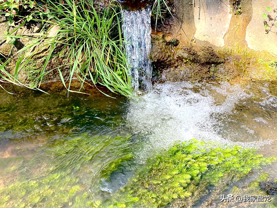 幸福新时代主题绘画图文,幸福盘龙