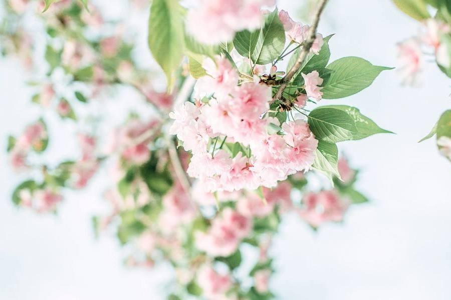 2022年摩羯座12月运势完整版,摩羯座十二月身体运势如何