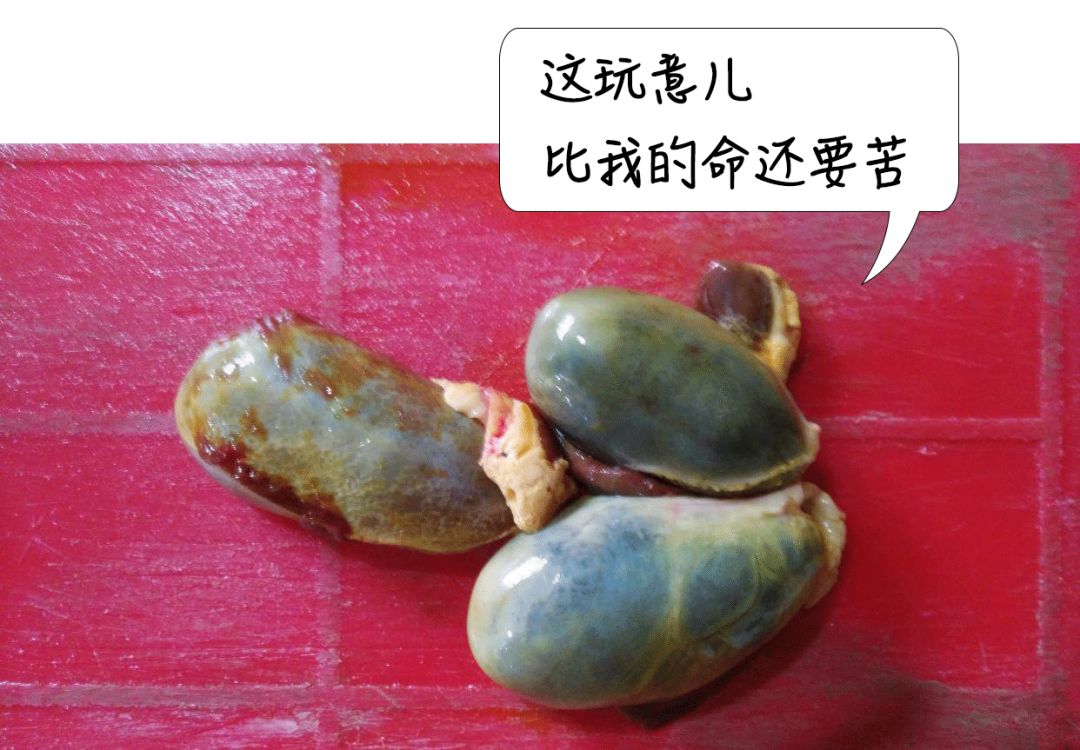 一睡醒，满床都是皮屑！“得了这病，剪发到一半就被赶出来”