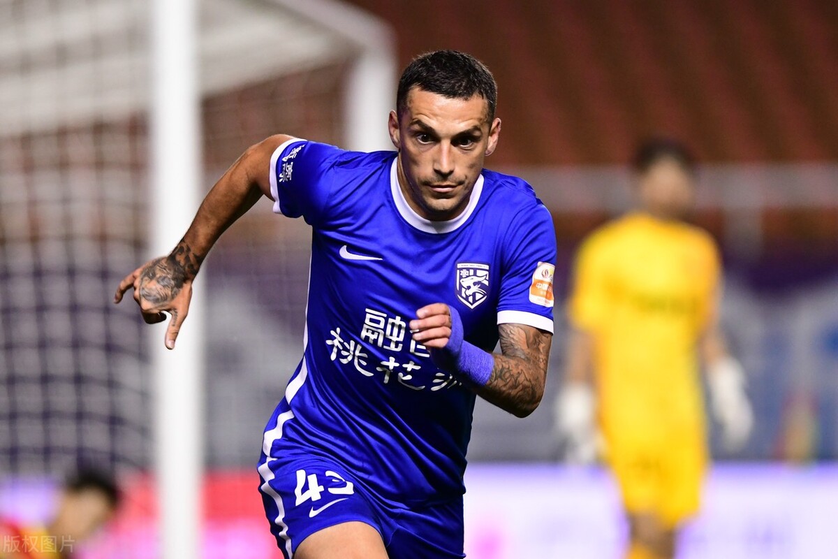 泰山队引进日本,泰山队内援引进情况