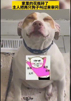 搞笑gif动图这位大哥性子很急啊,gif动图用不了