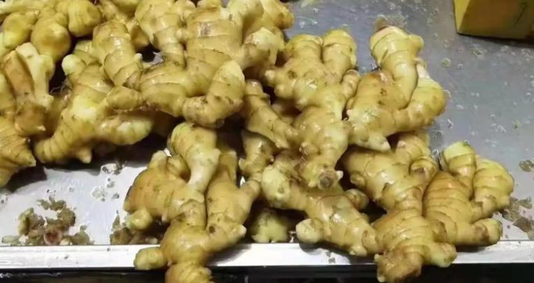 家庭种姜的正确方法和步骤,姜怎么种小技巧