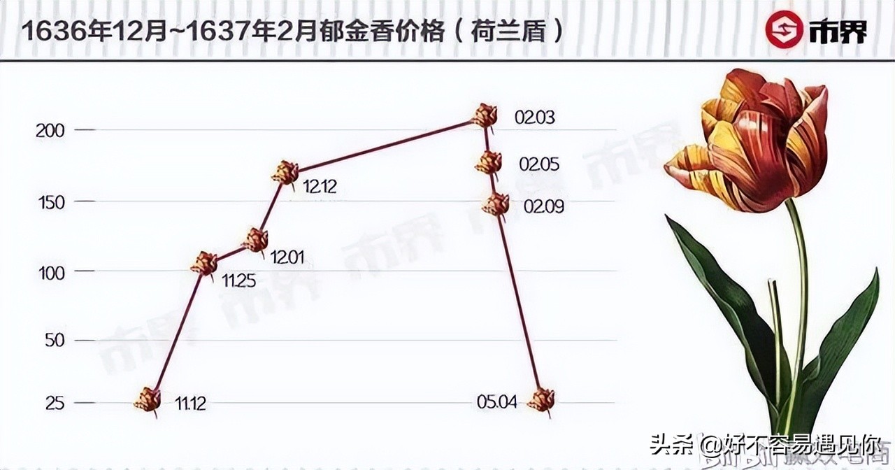 乌俄最新形势,俄乌荷兰战争最新消息