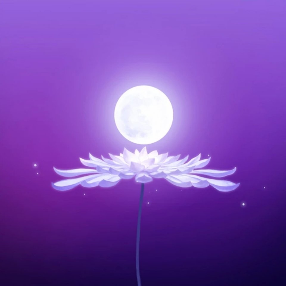 梦里多少花落无人知,梦里不曾落花