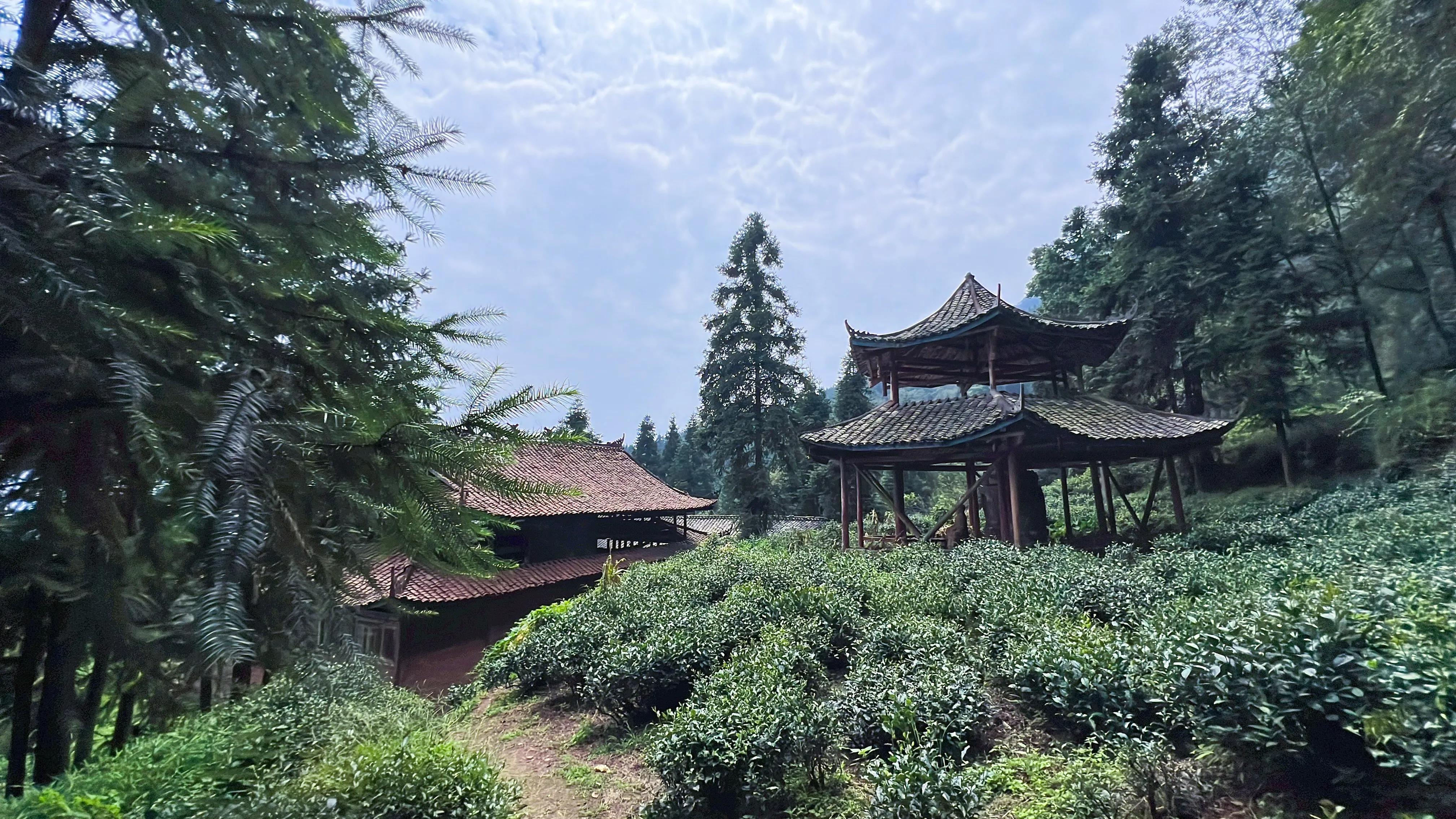 自以为美的中考命题：《是你，让我超越了平常的自己》