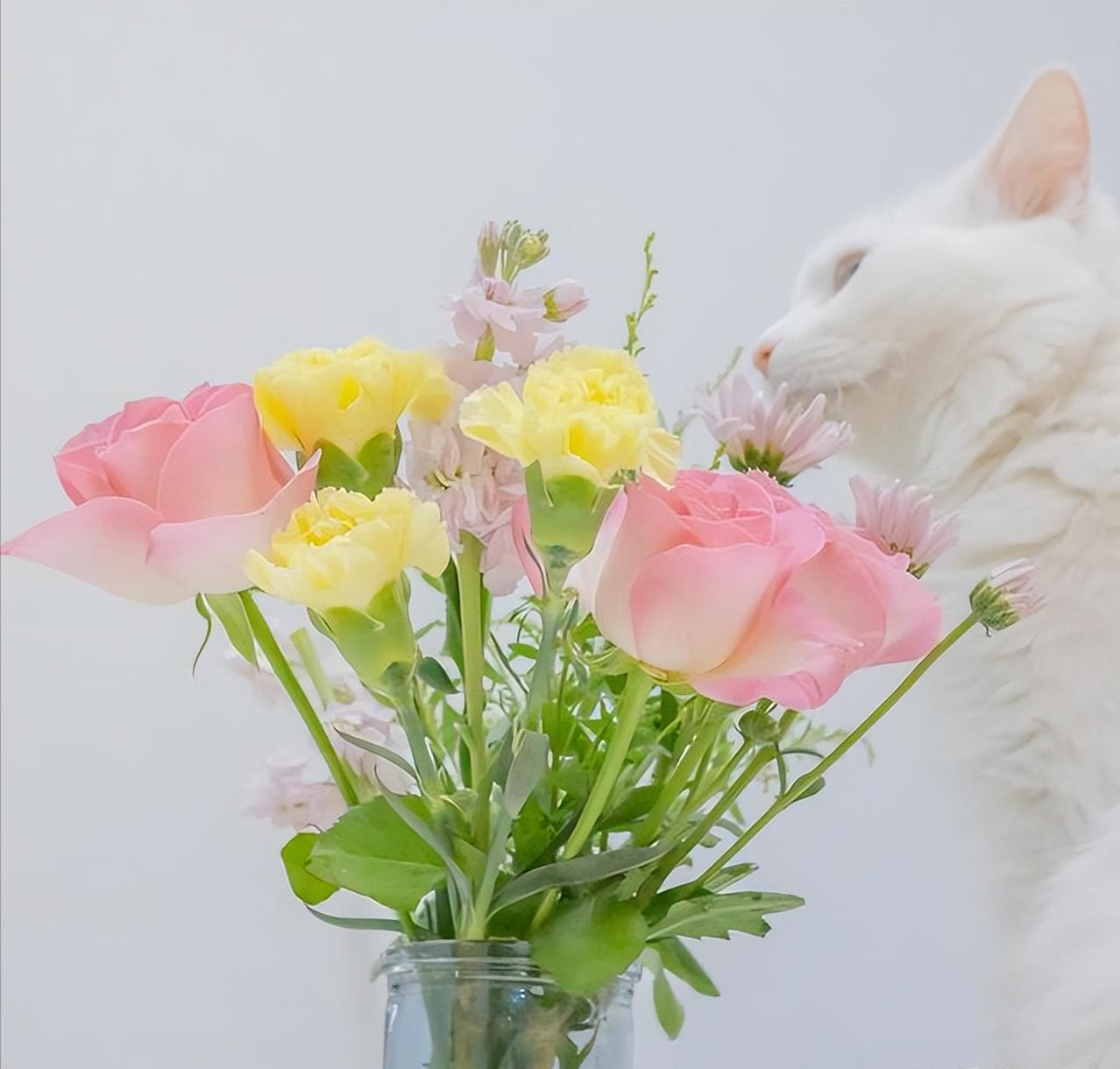 其实男人用情越深越会主动,其实男人更容易动心