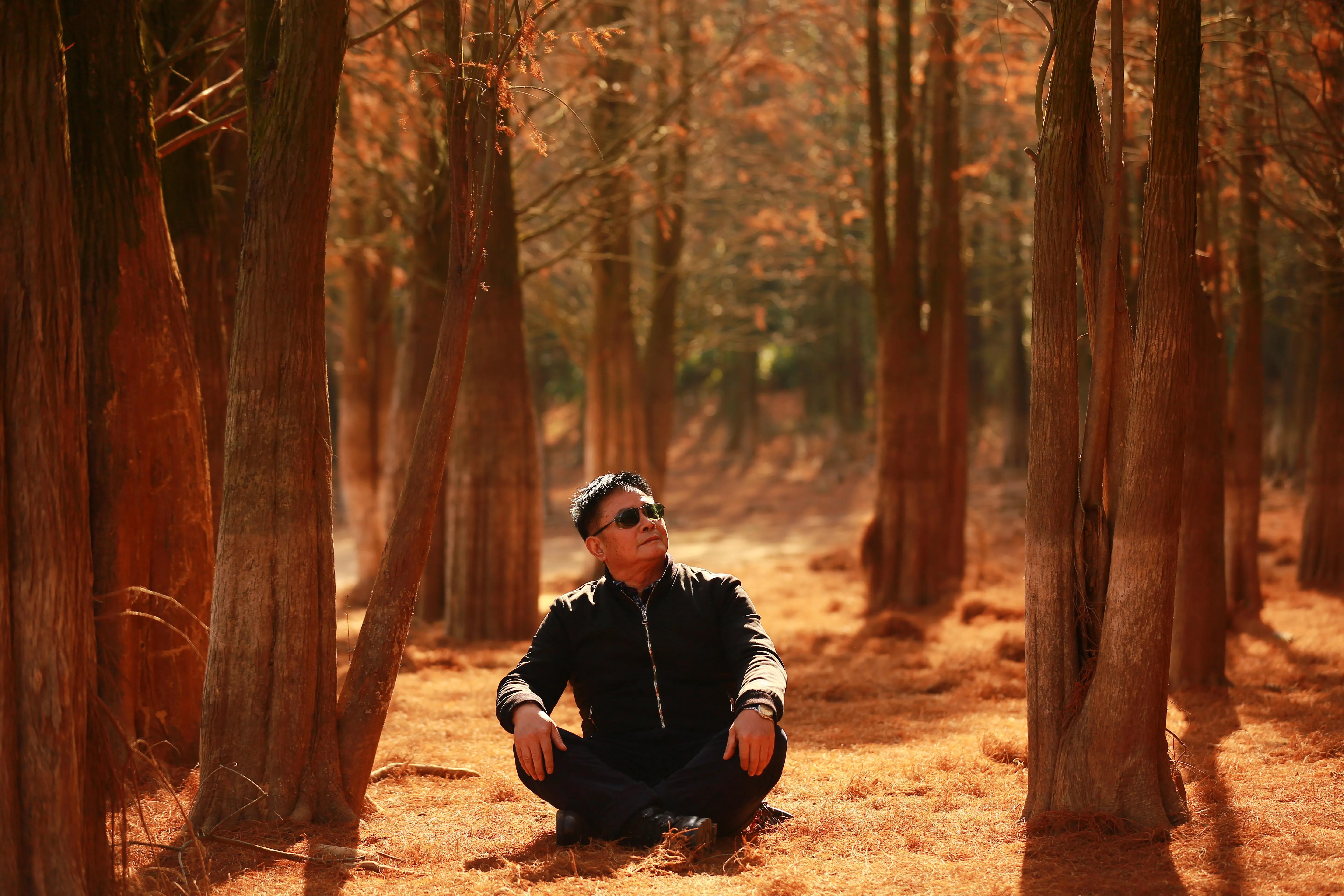 红杉林之恋,红杉林之恋完整版